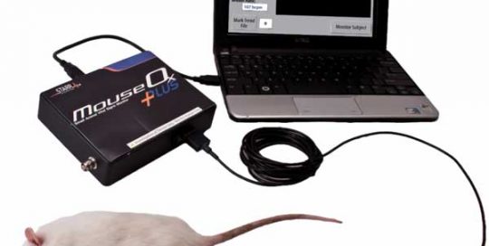MouseOx Plus starr life sciences