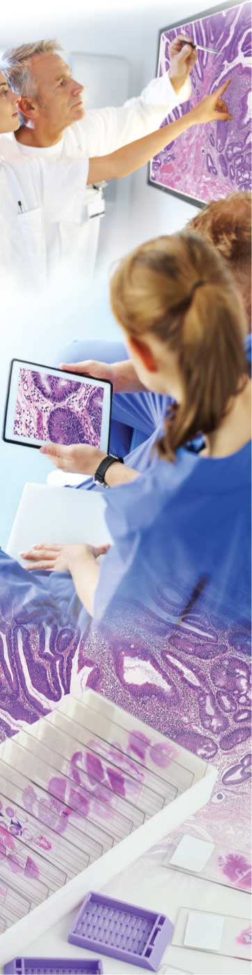 Hamamatsu Digital Pathology Slide Scanner NanoZoomer